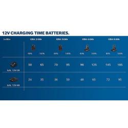 GBA 12V 2.0Ah.  Akkupack GBA 12V 2.0Ah, Der Akku GBA 12V 2.0Ah Professional ist ein kompakter Akku aus der 12-Volt-Klasse von Bosch. Durch die optimierte Akkukapazität eignet er sich für die meisten Anwendungen mit einem 12-Volt-Elektrowerkzeug. Kompatibel mit allen Bosch Professional 12-Volt-Werkzeugen und -Ladegeräten (Professional 12V System). Der GBA 12V 2.0Ah Professional ist ein Lithium-Ionen-Akku. Karton; 1 x Akku GBA 12V 2.0Ah (1 600 Z00 02X)  . 